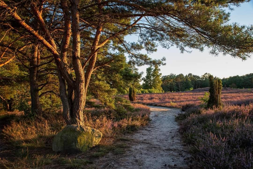 Duemmerliebe Mit Garten, 10 Min. Fusslaeufig Zum See Hüde Exterior foto